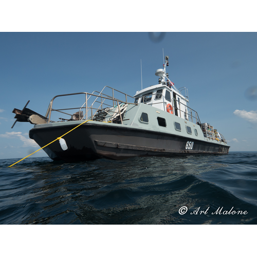 Georgian Bay - 3 Dive Charter